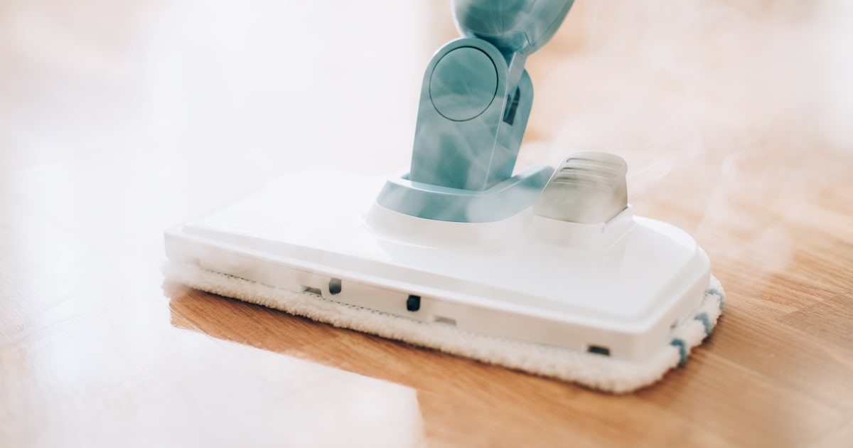 Are TikTok-famous steam cleaners worth the hype? Dallas cleaning specialists weigh in