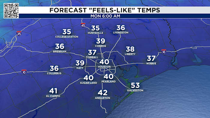 Houston’s cold front brings thunderstorms, powerful wind gusts and a drop in temperatures.