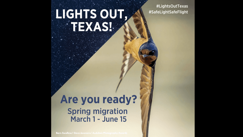 PHOTO CREDIT: AUDUBON TEXAS