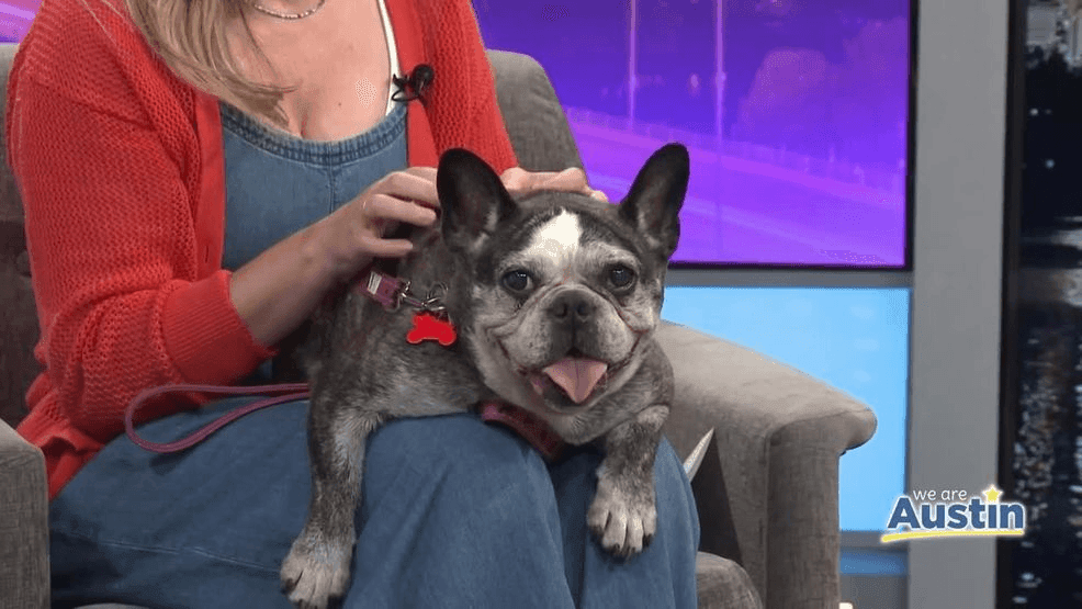 {p}Sierra Waggoner and Trevor Scott are joined by Good Party ATX founder Sarah Wolf, who stopped by with the latest weekend happenings—plus an adorable adoptable pup from named Minette!{/p}