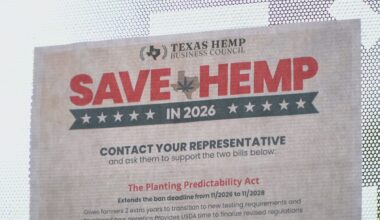 Texas hemp industry braces for major changes as new state rules are set to take effect