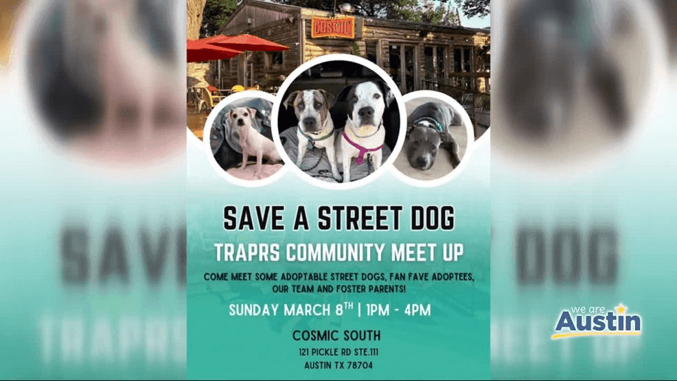 {p}For anyone thinking about adopting, this weekend could be the perfect time. Wolf says TRAPRS is partnering with several Austin-area rescues for a special adoption event designed to help more pets find homes.{/p}{p}“This weekend TRAPRS, along with a lot of other Austin-area rescues, are doing a ‘Name Your Price’ adoption special,” she said. “So if you’ve been looking for a pet, now is the perfect time. You can meet Mookie along with his sister and a bunch of other dogs from TRAPRS.”{/p}