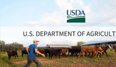 USDA forecasts drop in ag trade deficit