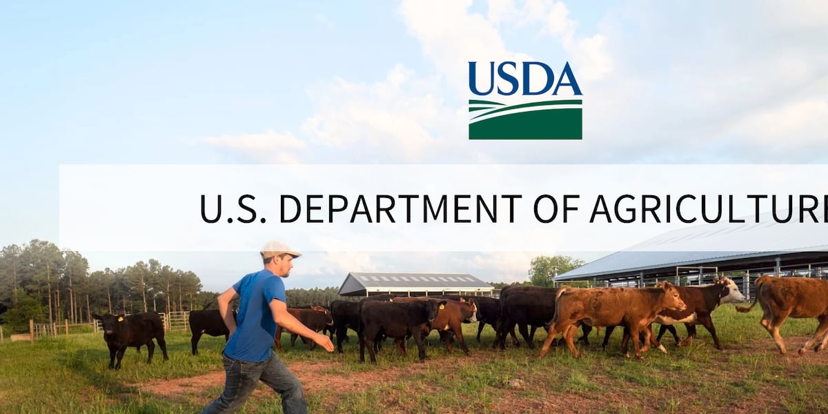 USDA forecasts drop in ag trade deficit
