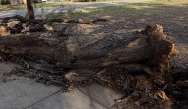Strong winds hit Bexar County, cause widespread damage and power outages