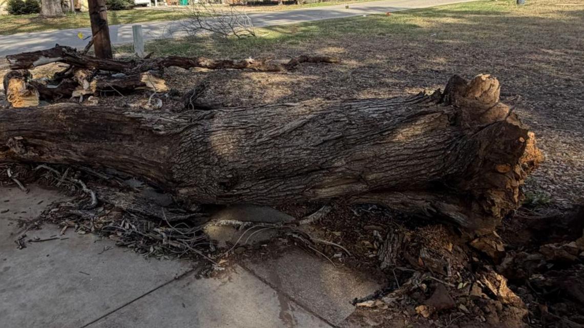Strong winds hit Bexar County, cause widespread damage and power outages