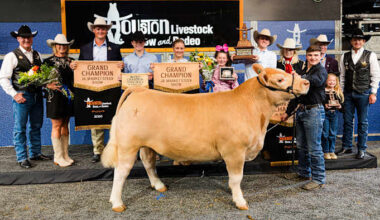 Whopping $1.5M Grand Champion steer breaks record at Houston Livestock Show and Rodeo Junior Auction