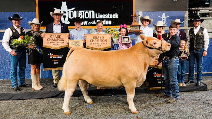 Whopping $1.5M Grand Champion steer breaks record at Houston Livestock Show and Rodeo Junior Auction