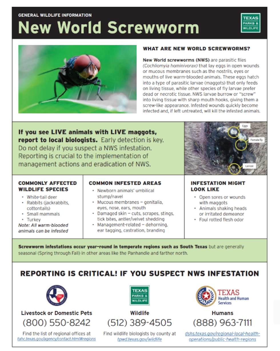 New World Screwworm Information
