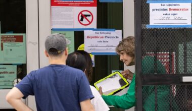 Why was primary voting so painful in Dallas County?