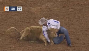 Steer at Houston rodeo euthanized after being injured in wrestling event