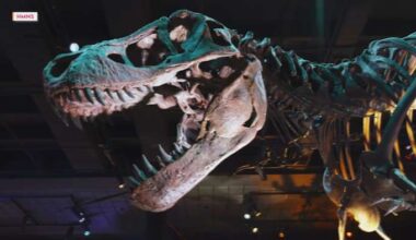 Enjoy Spring Break at the Houston Museum of Natural Science