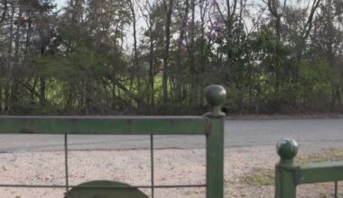 Developer seeks to rezone 80 more acres for Fort Worth data center, drawing pushback from historic gardens