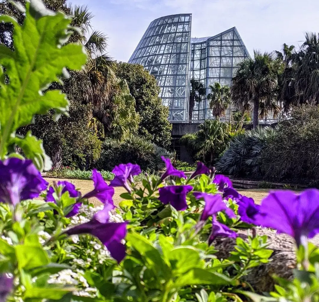 Take a piece of the San Antonio Botanical Garden home at its Spring Plant Sale
