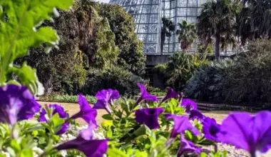 Take a piece of the San Antonio Botanical Garden home at its Spring Plant Sale