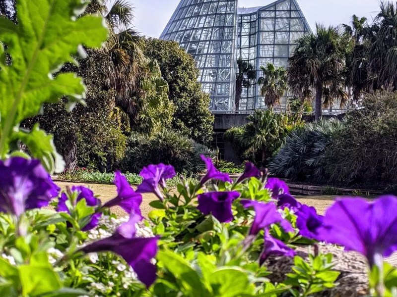Take a piece of the San Antonio Botanical Garden home at its Spring Plant Sale