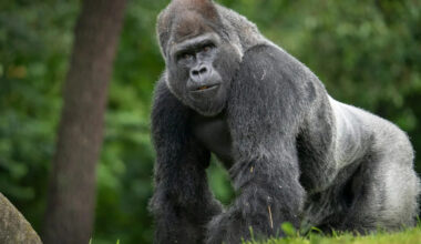 Yahoo lifestyle home