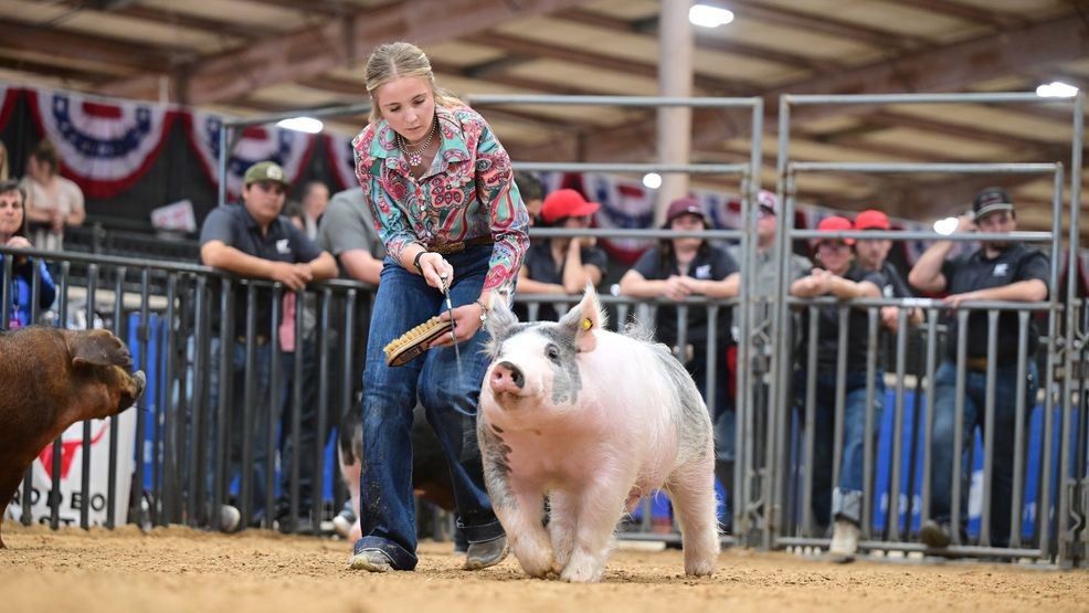 For tickets, schedules, and the full lineup of events, visit the Rodeo Austin website online.