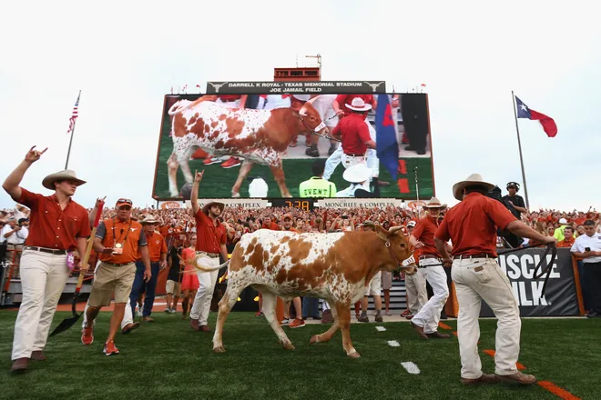 AUSTIN, TX - SEPTEMBER 04: Texas Longhorns mascot Bevo XV is seen during the game between the Texas Longhorns and the Notre Dame Fighting Irish at Darrell K. Royal-Texas Memorial Stadium on September 4, 2016 in Austin, Texas. (Photo by Ronald Martinez/Getty Images)
