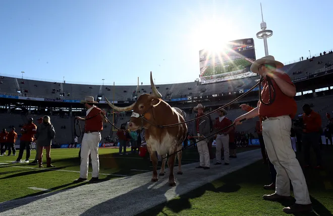 DALLAS, TEXAS - OCTOBER 12: Bevo the live mascot of the Texas Longhorns walks on the field before the Red River Showdown between the Texas Longhorns and the Oklahoma Sooners at Cotton Bowl on October 12, 2019 in Dallas, Texas. (Photo by Ronald Martinez/Getty Images)