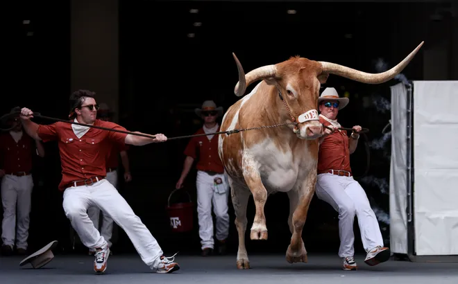 AUSTIN, TEXAS - AUGUST 31: BEVO XV arrives at the stadium before the game between the Texas Longhorns and the Colorado State Rams at Darrell K Royal-Texas Memorial Stadium on August 31, 2024 in Austin, Texas. (Photo by Tim Warner/Getty Images)