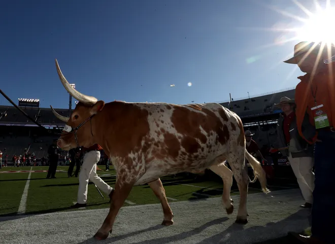 DALLAS, TEXAS - OCTOBER 12: Bevo the live mascot of the Texas Longhorns walks on the field before the Red River Showdown between the Texas Longhorns and the Oklahoma Sooners at Cotton Bowl on October 12, 2019 in Dallas, Texas. (Photo by Ronald Martinez/Getty Images)