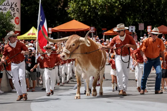 AUSTIN, TEXAS - SEPTEMBER 13: Texas Longhorns mascot Bevo XV arrives with its handlers prior to the game against the UTEP Miners at Darrell K Royal-Texas Memorial Stadium on September 13, 2025 in Austin, Texas. (Photo by Tim Warner/Getty Images)