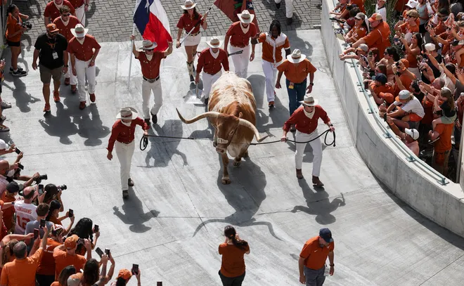 AUSTIN, TEXAS - SEPTEMBER 20: Texas Longhorns mascot Bevo XV arrives prior to the game against the Sam Houston State Bearkats at Darrell K Royal-Texas Memorial Stadium on September 20, 2025 in Austin, Texas. (Photo by Tim Warner/Getty Images)
