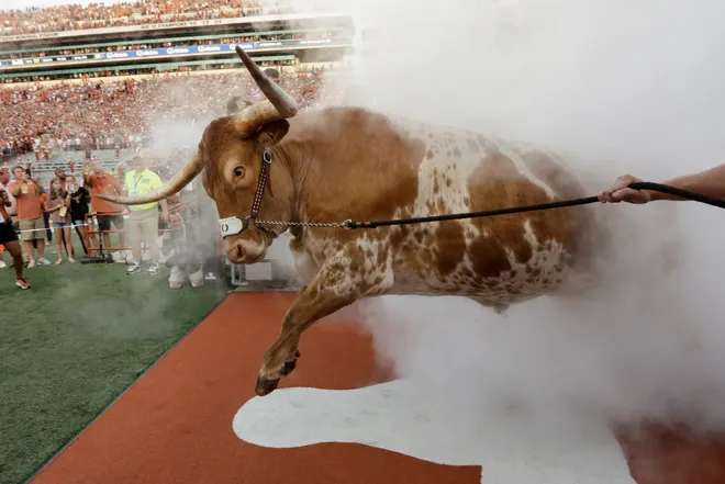AUSTIN, TX - SEPTEMBER 08: Texas Longhorns mascot BEVO leads the team out of the tunnel before the game against the Tulsa Golden Hurricane at Darrell K Royal-Texas Memorial Stadium on September 8, 2018 in Austin, Texas. (Photo by Tim Warner/Getty Images)