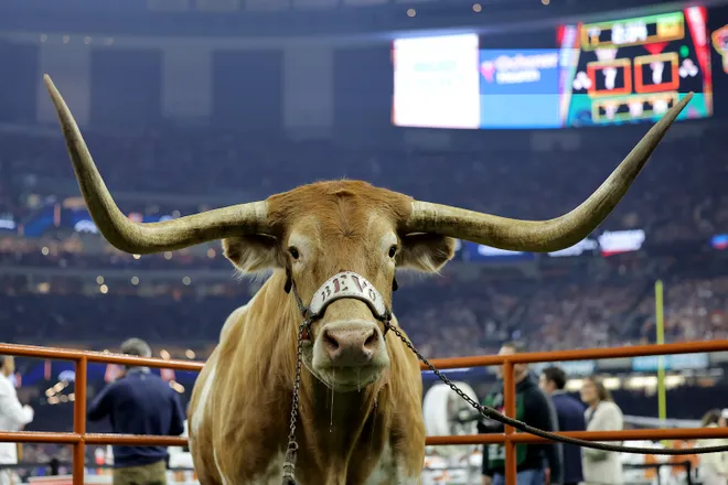 NEW ORLEANS, LOUISIANA - JANUARY 01: Texas Longhorns mascot Bevo is seen during the CFP Semifinal Allstate Sugar Bowl against the Washington Huskies at Caesars Superdome on January 01, 2024 in New Orleans, Louisiana. (Photo by Jonathan Bachman/Getty Images)