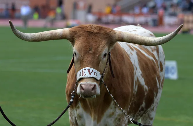 Mar 31, 2018; Austin, TX, USA; Texas Longhorns mascot Bevo is seen at the 91st Clyde Littlefield Texas Relays at Mike A. Myers Stadium. Mandatory Credit: Kirby Lee-USA TODAY Sports