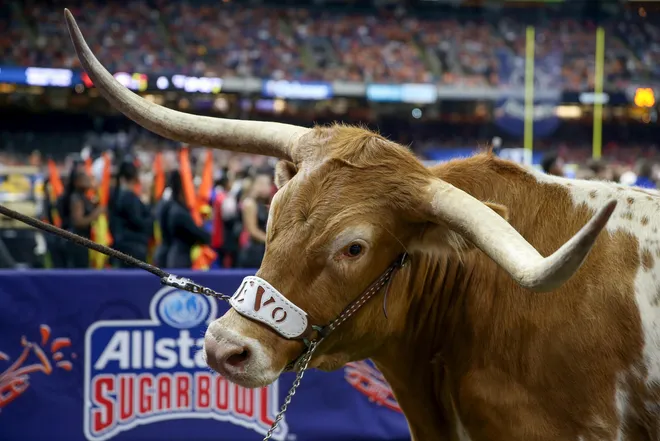 Jan 1, 2019; New Orleans, LA, USA; Bevo, the Texas Longhorns mascot, on the sidelines in the second half of the 2019 Sugar Bowl at the Mercedes-Benz Superdome. Mandatory Credit: Chuck Cook-USA TODAY Sports