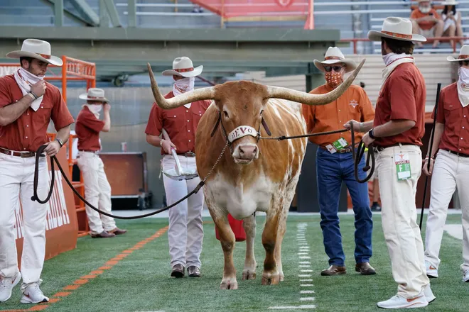 Sep 12, 2020; Austin, Texas, USA; Texas Longhorns live mascot Bevo walks with Cowboys before the game against the Texas El Paso Miners at Darrell K Royal-Texas Memorial Stadium. Mandatory Credit: Scott Wachter-USA TODAY Sports
