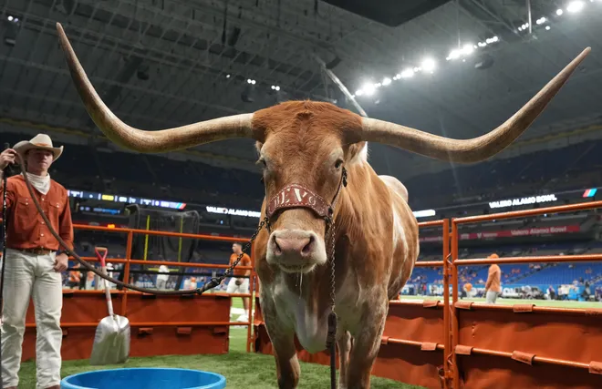 Dec 29, 2022; San Antonio, Texas, USA; Texas Longhorns mascot Bevo XV at the 2022 Alamo Bowl at Alamodome. Mandatory Credit: Kirby Lee-USA TODAY Sports
