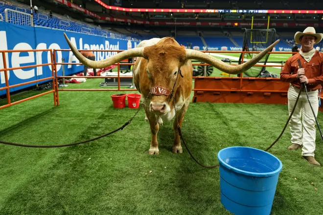 Dec 29, 2022; San Antonio, Texas, USA; Texas Longhorns mascot Bevo XV before the 2022 Alamo Bowl between the Texas Longhorns and the Washington Huskies at the Alamodome. Mandatory Credit: Daniel Dunn-USA TODAY Sports