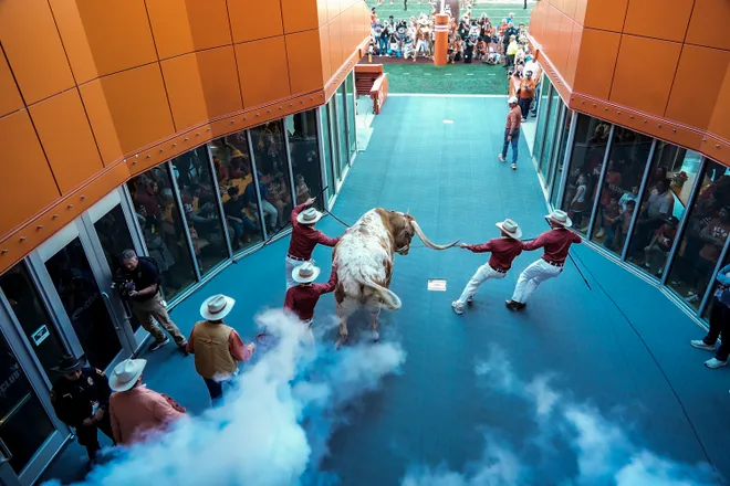 Nov 23, 2024; Austin, Texas, USA; Texas Longhorns mascot BEVO XV make its way into the field before kick off against the Kentucky Wildcats at Darrell K Royal Texas Memorial Stadium. Mandatory Credit: Ricardo B. Brazziell/USA TODAY Network via Imagn Images