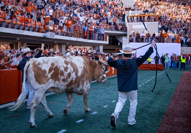Dec 21, 2024; Austin, Texas, USA; Texas Longhorns live mascot steer Bevo XV during the CFP National playoff first round at Darrell K Royal-Texas Memorial Stadium. Mandatory Credit: Mark J. Rebilas-Imagn Images