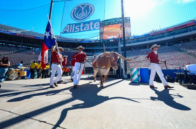 Oct 11, 2025; Dallas, Texas, USA; Texas Longhorns mascot Bevo walks out to the field before the game against the Oklahoma Sooners at the Cotton Bowl. Mandatory Credit: Kevin Jairaj-Imagn Images