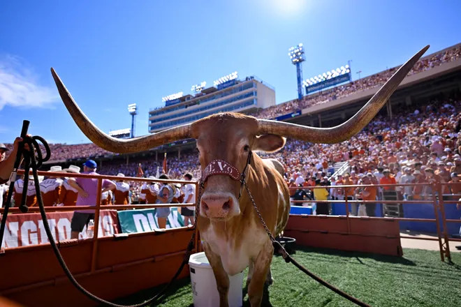 Oct 11, 2025; Dallas, Texas, USA; A view of Texas Longhorns mascot Bevo during the first half of the game between the Texas Longhorns and the Oklahoma Sooners at the Cotton Bowl. Mandatory Credit: Jerome Miron-Imagn Images