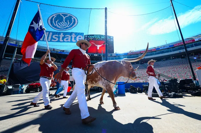 Oct 11, 2025; Dallas, Texas, USA; Texas Longhorns mascot Bevo walks out to the field before the game against the Oklahoma Sooners at the Cotton Bowl. Mandatory Credit: Kevin Jairaj-Imagn Images