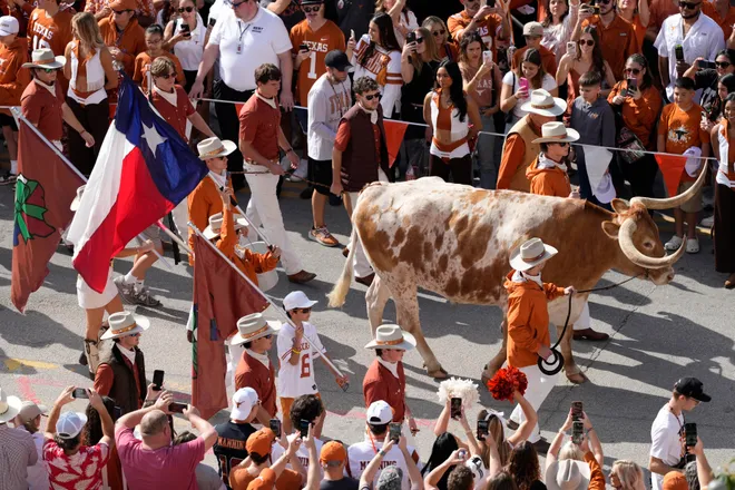 Nov 22, 2025; Austin, Texas, USA; Texas Longhorns live mascot Bevo walks on Bevo Boulevard before a game against the Arkansas Razorbacks at Darrell K Royal-Texas Memorial Stadium. Mandatory Credit: Scott Wachter-Imagn Images