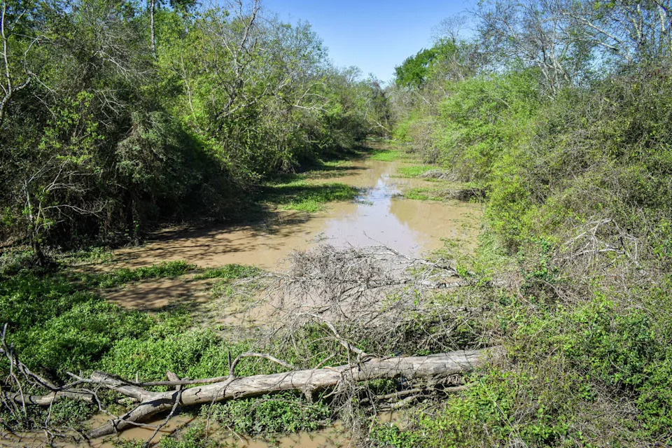 A creek flows through protected prairie west of Houston, where waterways connect the land within the Cypress Creek watershed. (Ariana Garcia)