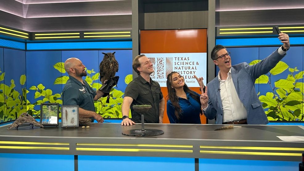 Owl-Bert the Owl Soars Into We Are Austin Ahead of Texas Wildlife Day!  