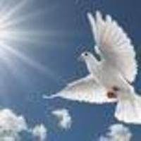 Alene Victoria Few - May 28, 1929 - March 23, 2026