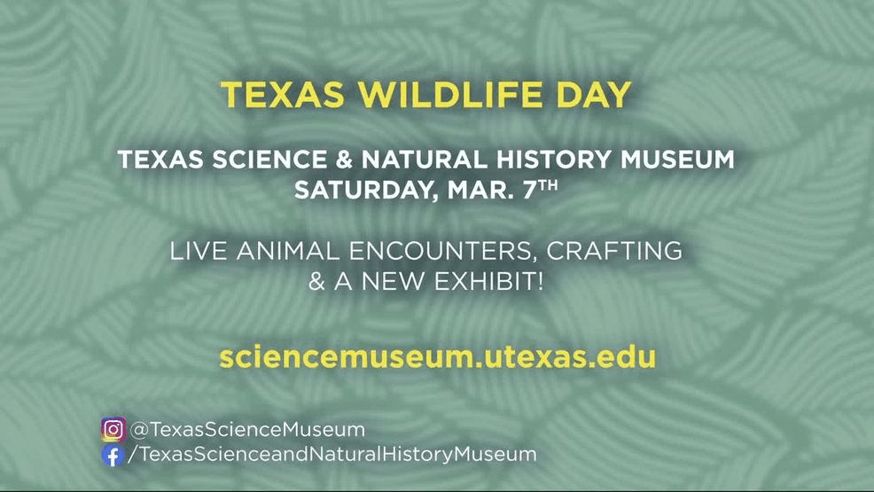 Texas Wildlife Day takes place Saturday, March 7. For more information and event details, visit the museum’s website.