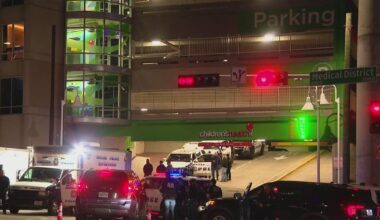 Dallas police kill armed suspect after standoff in hospital parking garage