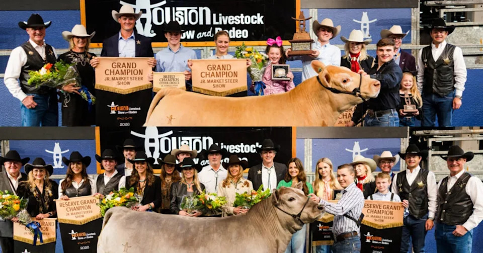 Houston Champion Steer