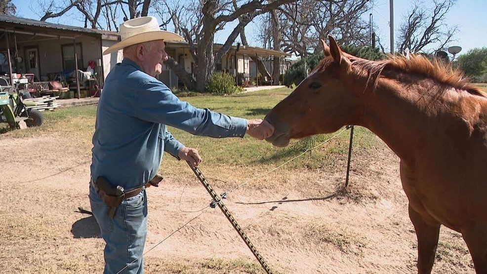Chuck Richter greets a horse on his farm in Laredo