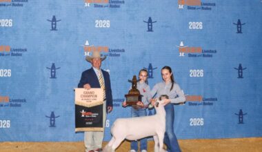 Seagraves teen sells lamb for $1M at Houston Livestock Show, setting auction record