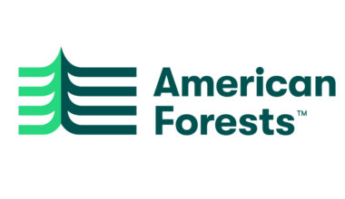 American Forests, REVERB Help Austin Reach Tree Canopy Goal to Provide Heat Relief